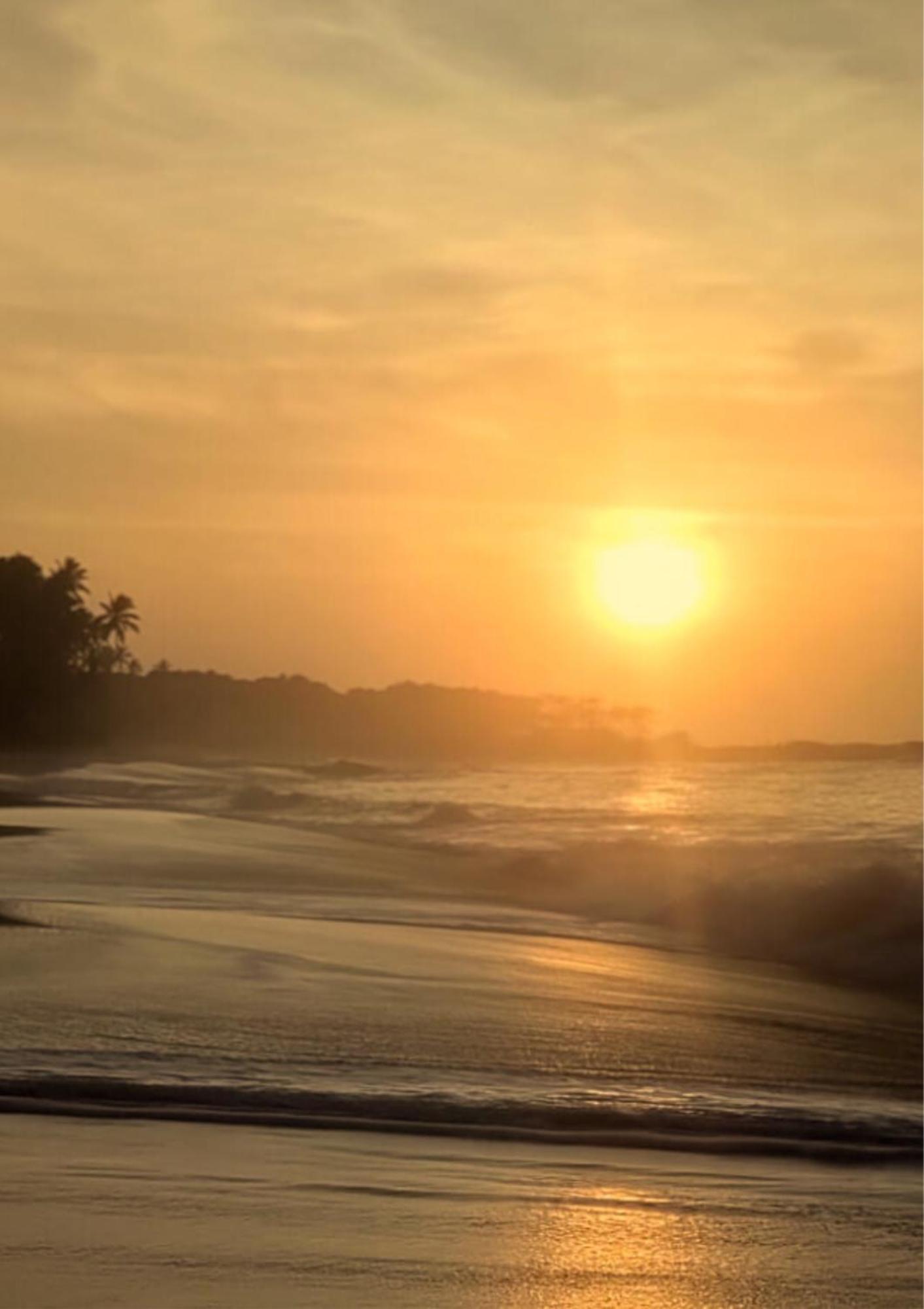 Amour At Turtle Beach Tangalle Exterior foto