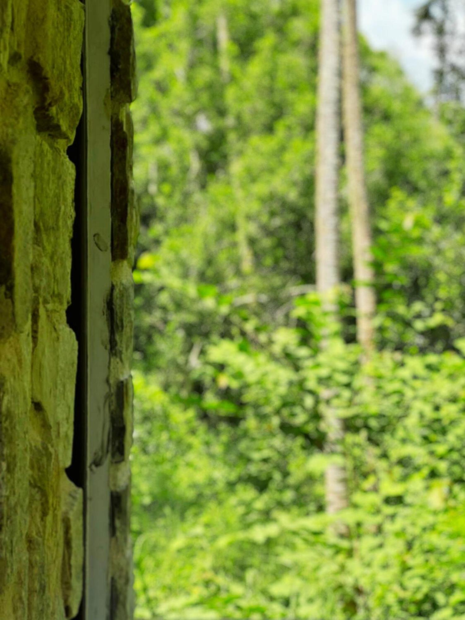 Amour At Turtle Beach Tangalle Exterior foto