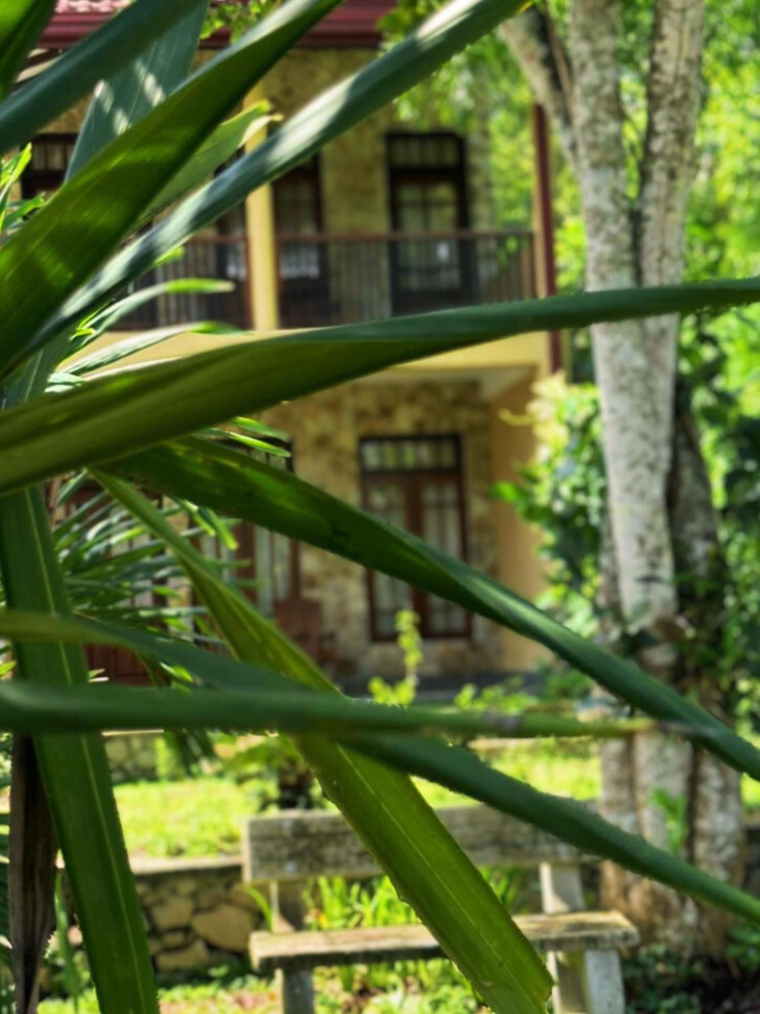 Amour At Turtle Beach Tangalle Exterior foto