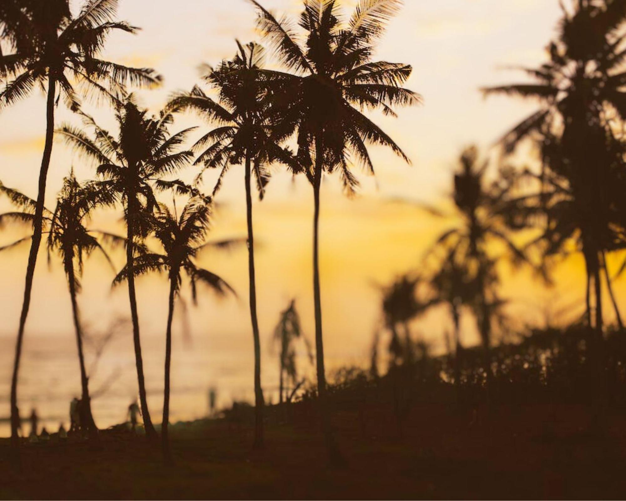 Amour At Turtle Beach Tangalle Exterior foto