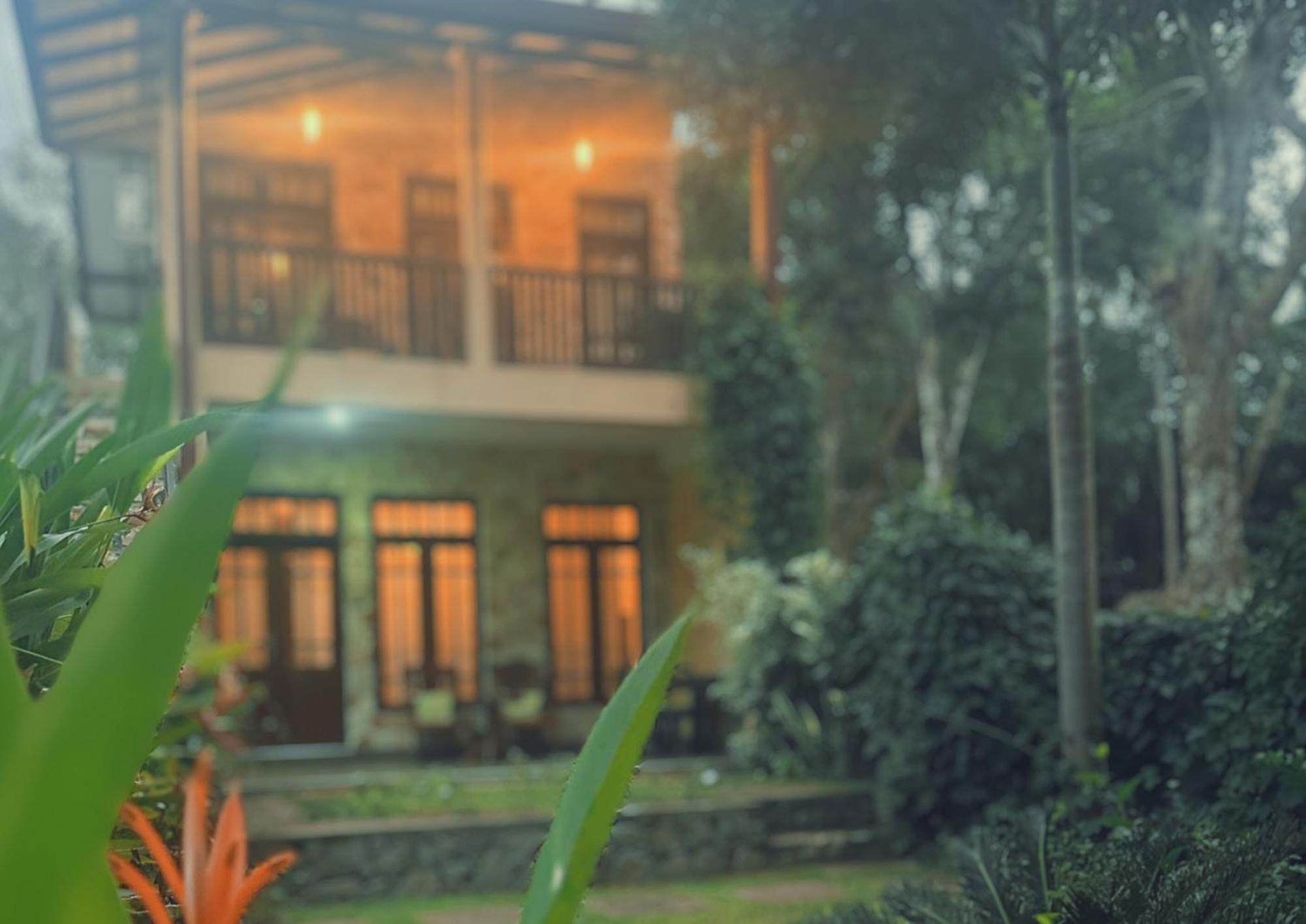Amour At Turtle Beach Tangalle Exterior foto
